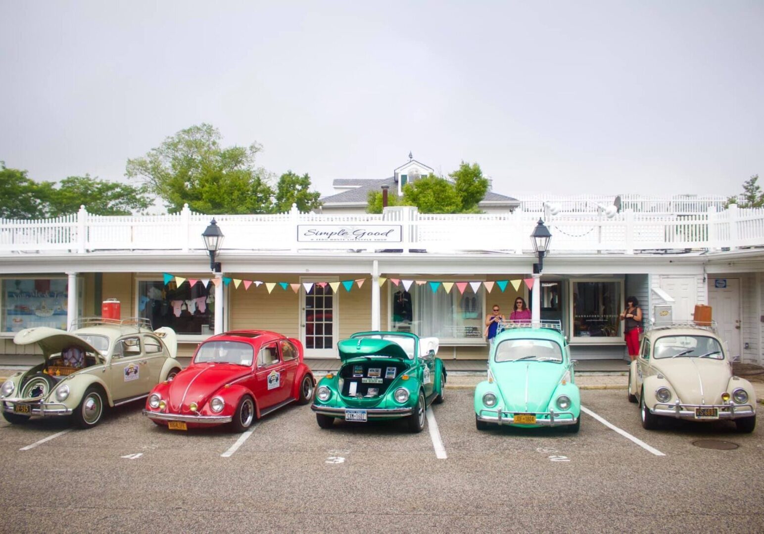 VW bug lined up